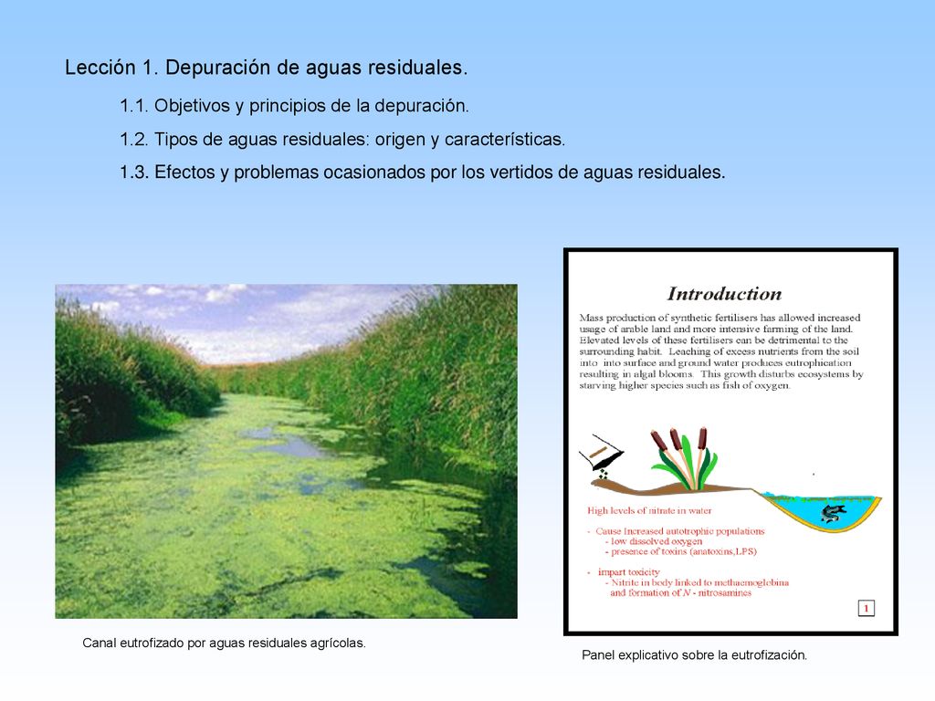 Lección 1 Depuración de aguas residuales ppt descargar